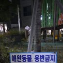 왕성축산 이미지