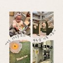 여의도 IFC몰 원더가든, 봄맞이 가족 나들이 코스! 테슬라 모델Y 전시관 + 수유실 꿀팁까지