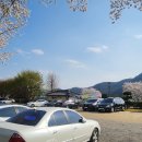 더 블루 카카오 검색결과