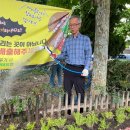 중부동공원 이미지