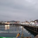 게으른 반달 네이버블로그