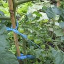 예촌민박 이미지