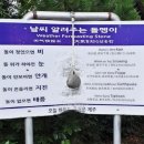 돌멩이 이미지