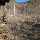 금수촌집 이미지