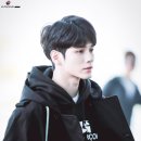 준우 Daum카페