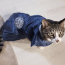 미륵당 | 미륵당 영화 도령 포항 점집 방문 후기 – 친근하고 놀라운 경험