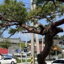 남원아트센터(구kbs) 이미지