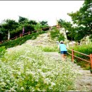 청풍호로 이미지