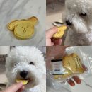 멍깨비마켓 이미지