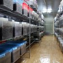 초가집 농장 이미지