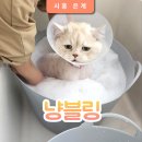 냥블링