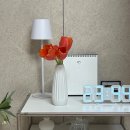 안경진정성 대전전민점 | 공주살이 시작 : 5월 일상 모음