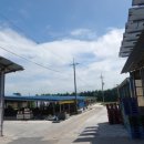 군산 한우농장2 이미지