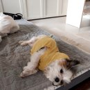 남현우동물병원 이미지