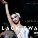 블랙스완 카카오 검색결과