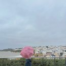 013-조리-013 | 2026 포르투갈 🩵💛 알부페이라 1편 || 리스본에서 알부페이라, 포르투갈 남부여행, 알부페이라맛집에서...