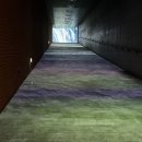 서소문성지 역사박물관 이미지