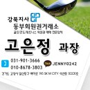 타미우스빌리지 이미지