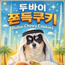 빵먹는 강아지 | [바둑이연구소 일상]청주 강아지 유치원 바둑이연구소 두쫀쿠 먹방 + 포토존 촬영 후기 📸