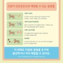 수색동물병원 이미지