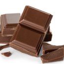 쉐이크테일 강아지 애견 유치원 호텔 미용 이미지