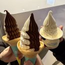 만칼 | 시험 기간 괜찮으실까요? 그건 절대 안되는 일이얌..!!