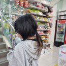 제주돌하르방캠핑장 | 제주 가족캠핑 돌하르방캠핑장 리뉴얼된 시설! 개별샤워실 대박