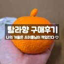 탐라향 | 조이풀님 탐라향 구매후기 - 탐라향 효능 보관법 부작용까지