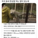 말티가는길 이미지