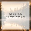 건강생활(시청점)