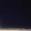 하운드 송정 이미지