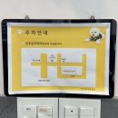 유성동물병원 | 반려묘 죽동병원 유성튼튼동물병원 4번째 방문 후기