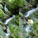 대부산 ~ 유명산 ~ 소구니산 종주산행(21. 6.12) 백대명산 42위