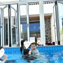 네이처러스 판포나일 이미지