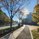 팔마체육관 화장실 이미지