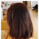 세희헤어 이미지