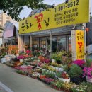 은하꽃집 이미지