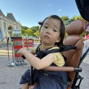 해피카랜드 | 26개월 아기랑 에버랜드 야간권 나이트사파리 후기