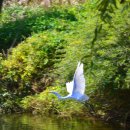 학의천변 이미지