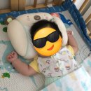 로앙쥬베베 이미지