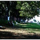 임진강목장 이미지