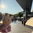 선행슈퍼자판기 | 라이즈 해외투어 히로시마(그린아레나/자녀표 양도)