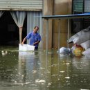 안시농장 이미지