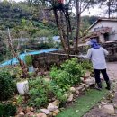 장대 | 오르 고지톱 장대세트! 3m 사용후기! 사다리 없이도 척척! 정원 전정 필수템! 굿!