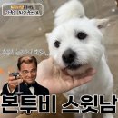 본투비 이미지