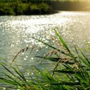 가장축산 이미지