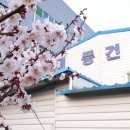 대풍건재 이미지