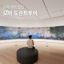 앤디투어 | 뉴욕 여행 모마 현대미술관 도슨트 투어 후기