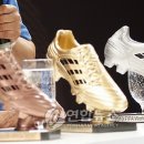 골든슈즈