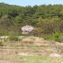 옴서감서 이미지